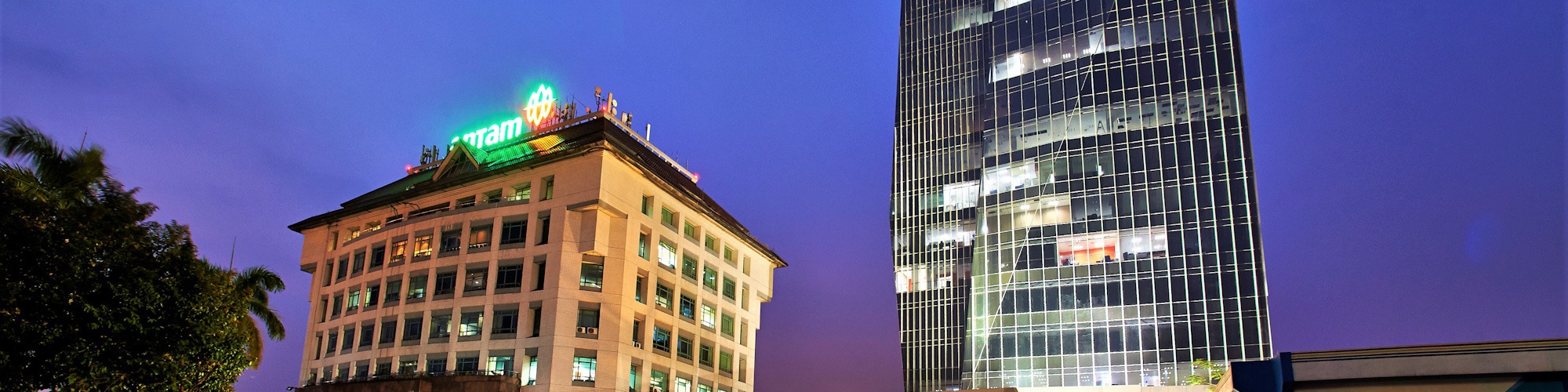 Bos Antam Bicara Prospek Permintaan Nikel Dunia